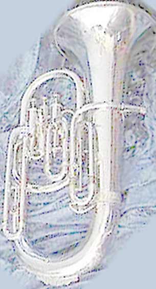 Instrument